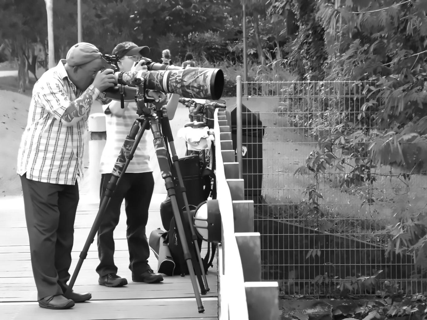 Kreatives Team bei der Arbeit an visuellen Projekten